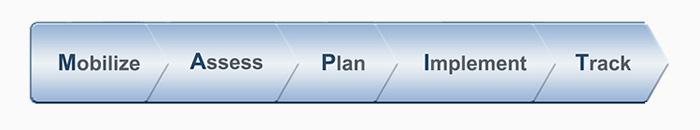 Image depicting a horizontal bar with the five steps of the MAP-IT approach: “Mobilize; Assess; Plan; Implement; Track.”