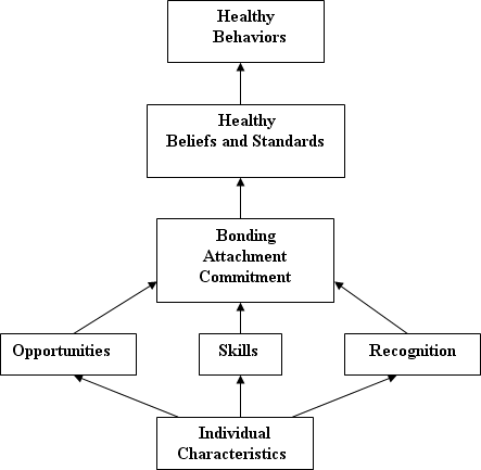 Image depicting the Social Development Strategy diagram with directional arrows between the following phases, building from the bottom up: “Individual Characteristics; Opportunities; Skills; Recognition; Bonding Attachment Commitment; Healthy Beliefs and Standards; Healthy Behaviors.”