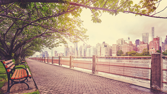 Color-toned image of Roosevelt Island park in NYC.