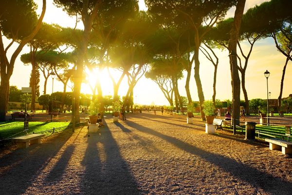 Image of a park with trees at sunset