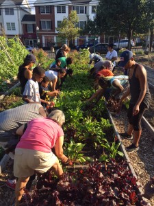 Image of the community gardening.