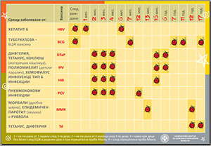 Photo of Immunization Schedule-sticker
