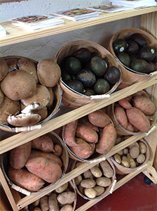 Photo of Mushrooms, Avocados, Sweet and White Potatoes 