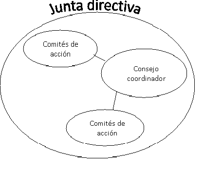Imagen es un diagrama que representa la estructura de tamaño mediano. Un gran círculo titulado Junta Directiva contiene tres círculos más pequeños: Consejo de Coordinación y dos círculos del Comité de Acción conectados entre sí.