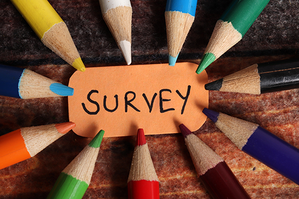 Colored pencils all pointing toward the word "survey."