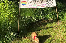 Image of ferret crossing the finish line.