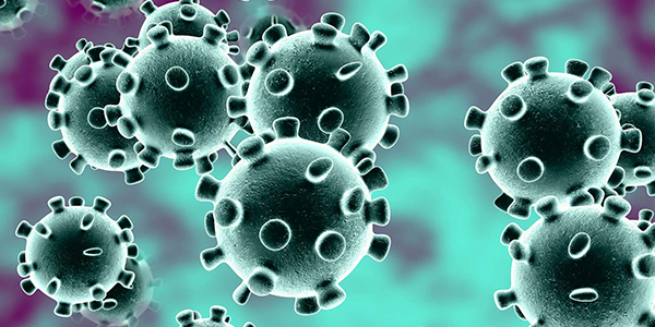 Image of Coronavirus cells.