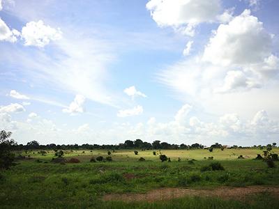 Photo of Kenya landscape.