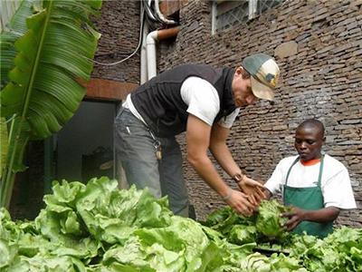 Photo of Joe Heritage, Director of Uhuru Child, selling lettuce produce in Nairobi.