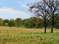 Photo of a landscape of Douglas County.